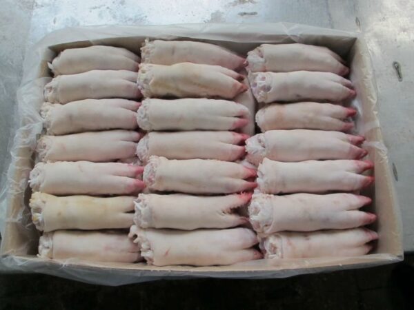 Bulk Frozen Pork feet ( Grade A) - Image 8