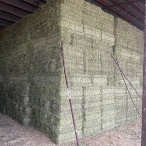 Alfalfa/Orchard Mix Hay in Wyoming