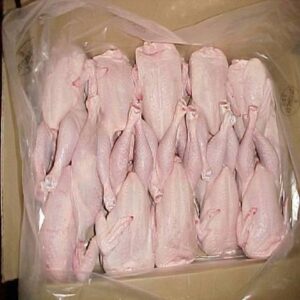 bulk Frozen Chicken