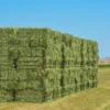 Alfalfa Hay