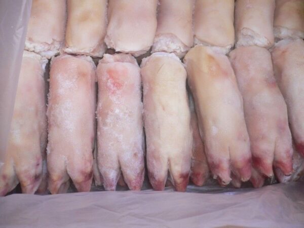 Bulk Frozen Pork feet ( Grade A) - Image 9