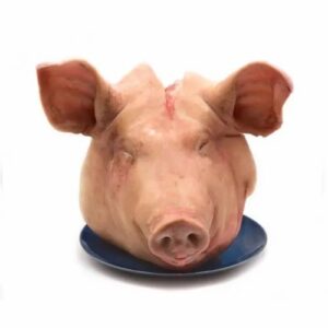Frozen Pork Head Meat