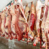 Beef Carcass