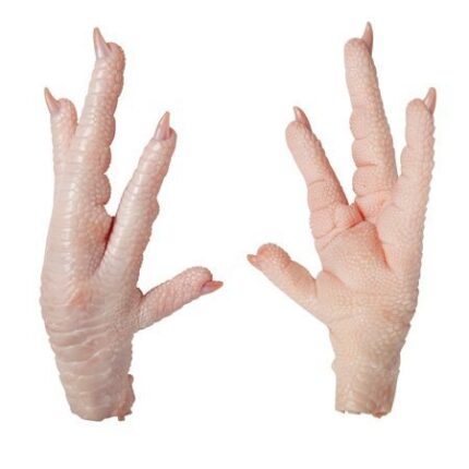 Chicken Paws - BULK BRAZILIAN CHICKEN