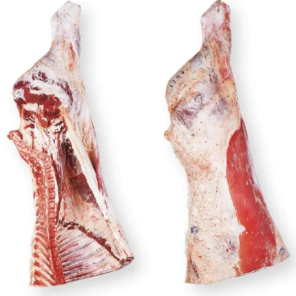 Frozen beef quarters