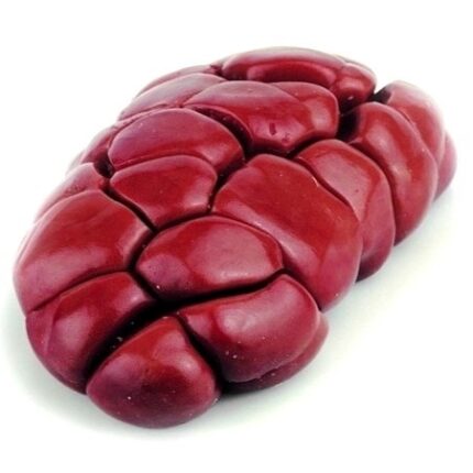 FROZEN BEEF KIDNEY - Brazilian Chickens