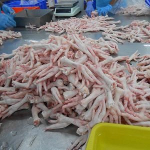Frozen Chicken Feet USA