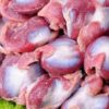 FROZEN CHICKEN GIZZARDS - BULK BRAZILIAN CHICKEN