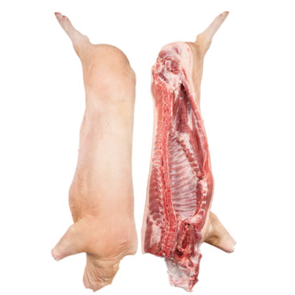 Frozen Pork Carcass - Brazilian Chickens