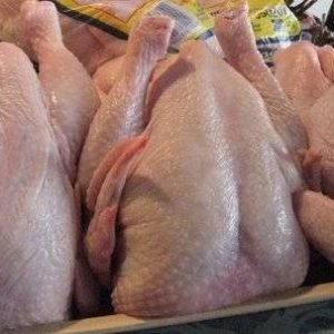Bulk Frozen Whole Chicken